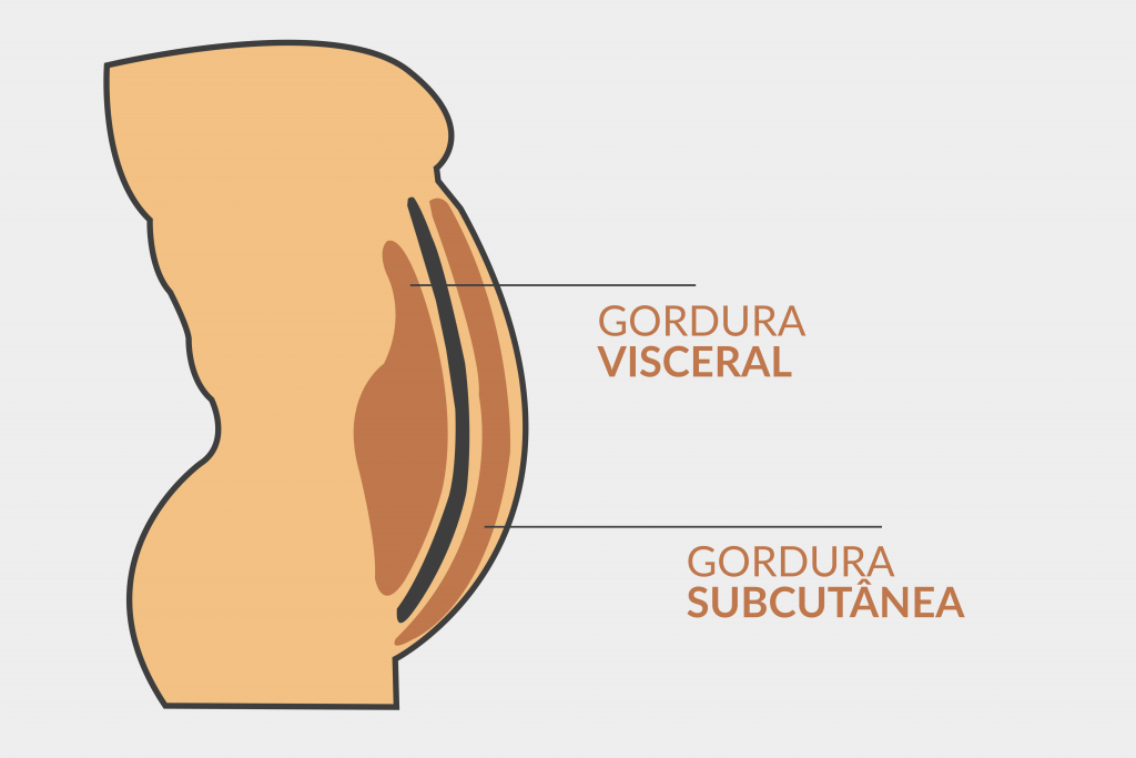 ilustração explicativa do corpo na região abdominal e os respectivos tipos de gordura.